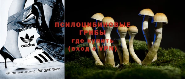 первитин Абинск