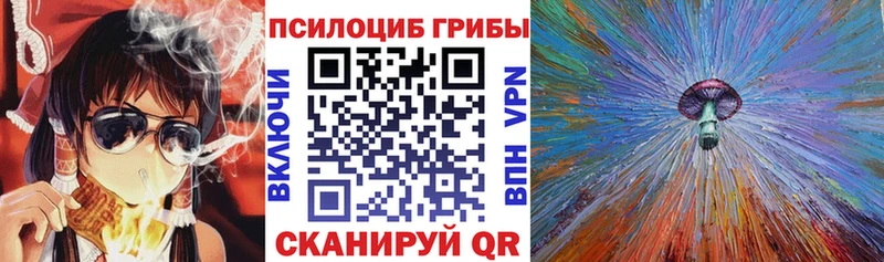 купить   Мосальск  Псилоцибиновые грибы GOLDEN TEACHER 