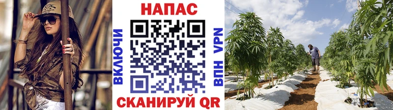 Шишки марихуана индика  Мосальск 